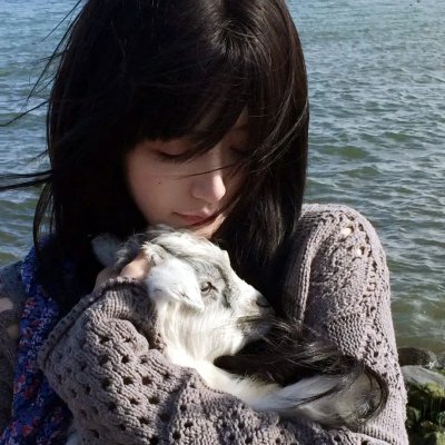 变形金刚：组合金刚之战